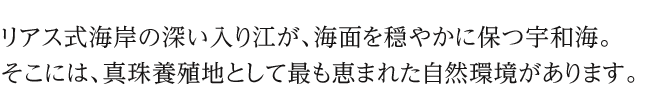 リアス式海岸の深い入り江が、海面を穏やかに保つ宇和海。そこには、真珠養殖地として最も恵まれた自然環境があります。