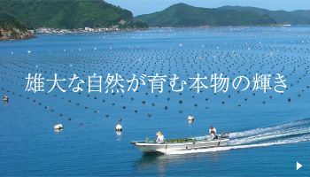 雄大な自然が育む本物の輝き